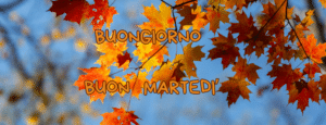 Buon 17 Settembre 2024: Le Migliori Immagini di Buongiorno