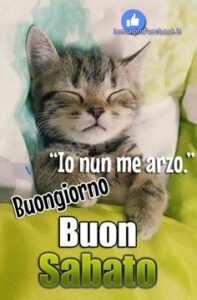 Frasi buongiorno 21 settembre