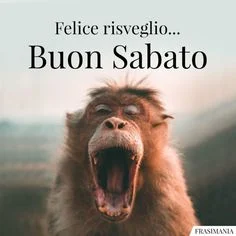 Buon 21 Settembre 2024: Le Migliori Immagini di Buongiorno