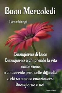 Buon 18 Settembre 2024: Le Migliori Immagini di Buongiorno