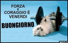 Buon 20 Settembre 2024: Le Migliori Immagini di Buongiorno