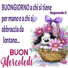 Buon 18 Settembre 2024: Le Migliori Immagini di Buongiorno