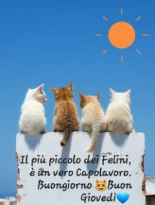 Buon 19 Settembre 2024: Le Migliori Immagini di Buongiorno