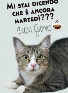 Animale adorabile per buongiorno
