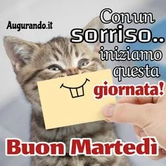 Immagine di buongiorno aggiuntiva 12