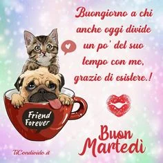 Immagine di buongiorno aggiuntiva 15