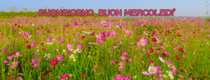 Buon 18 Settembre 2024: Le Migliori Immagini di Buongiorno