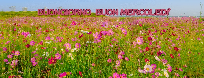 Buon 18 Settembre 2024: Le Migliori Immagini di Buongiorno