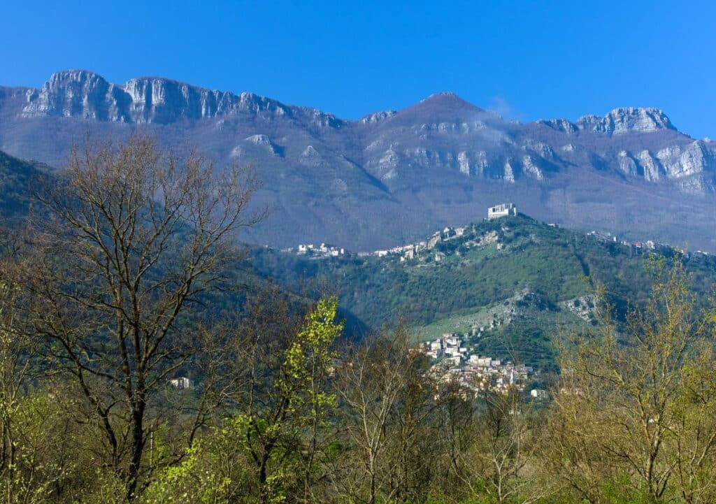quiz cilento
