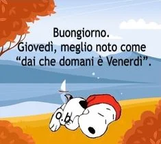 Buon 19 Settembre 2024: Le Migliori Immagini di Buongiorno