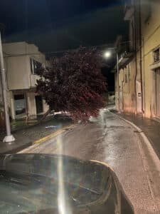 Cilento flagellato dal maltempo: danni ingenti e comunità isolate