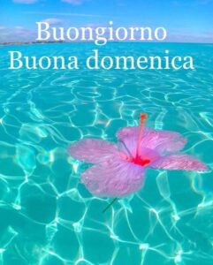 Buon 8 Settembre