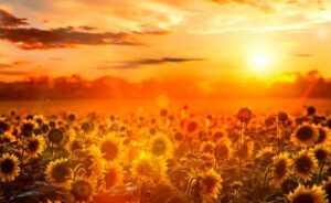 45 Frasi e Immagini Buongiorno per un Felice Lunedì 16 Settembre