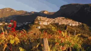 Scopri il Cilento in Bassa Stagione: L’Esperienza Unica del “Coolcationing”