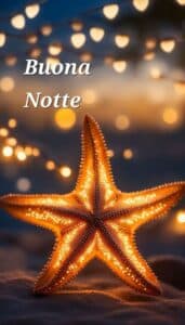 Immagini Buonanotte 8 Settembre: Le Migliori da Condividere