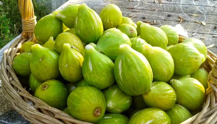 Cilento in autunno: Settembre ai Fichi e le sue tradizioni