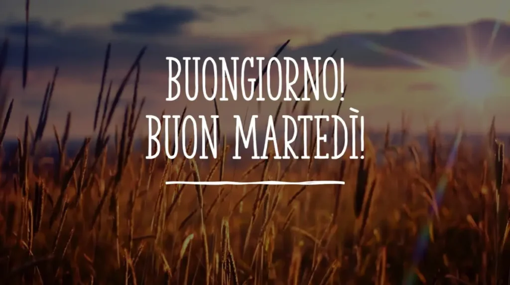 Buongiorno Martedì 10 Dicembre 2024: Le Migliori Immagini per WhatsApp e Instagram
