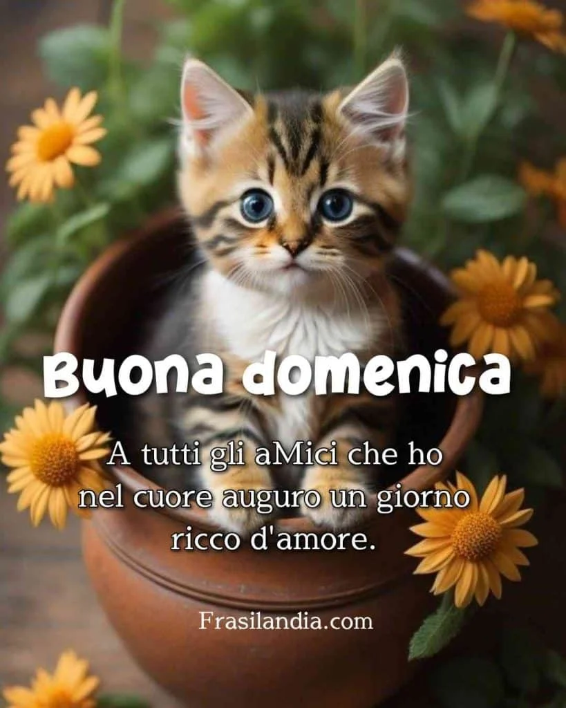buona domenica