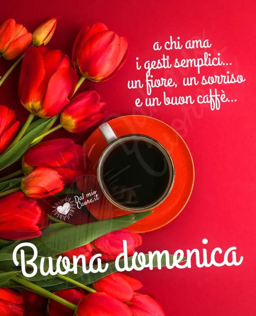 Buongiorno Domenica 22 Dicembre 2024: Immagini Perfette per WhatsApp e Instagram