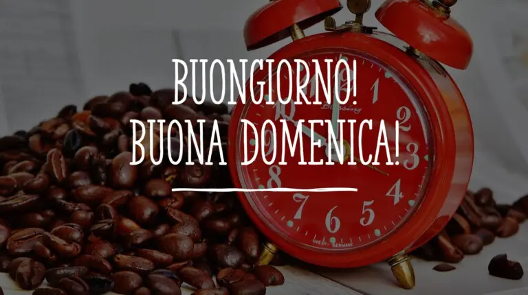 domenica 7