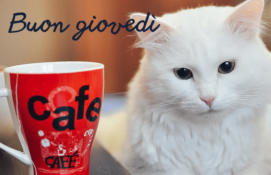 buon giovedi