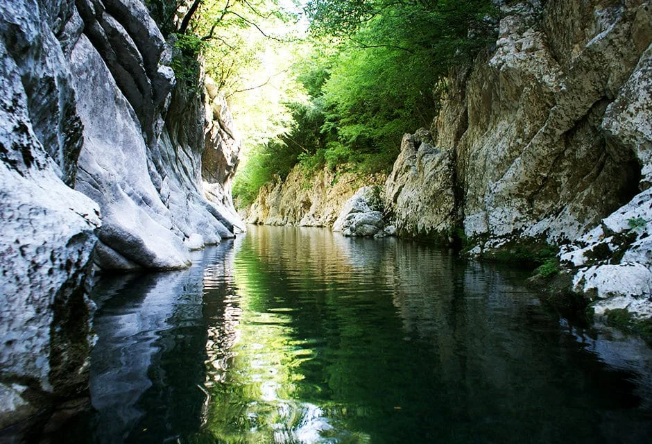 Eventi primordiali nel Cilento: Feste e sagre di primavera da non perdere