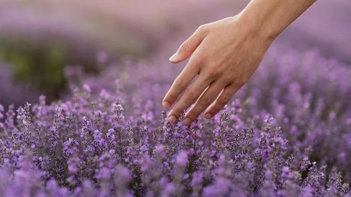 Come Prepararsi per la Primavera nel Cilento: Consigli per Giardinieri