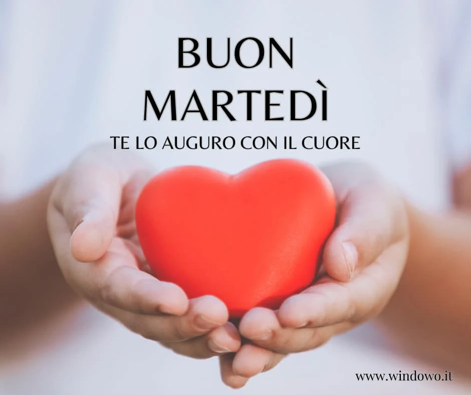 Buongiorno Martedì 17 Dicembre 2024: Una collezione di immagini per dare il buongiorno su WhatsApp e Instagram