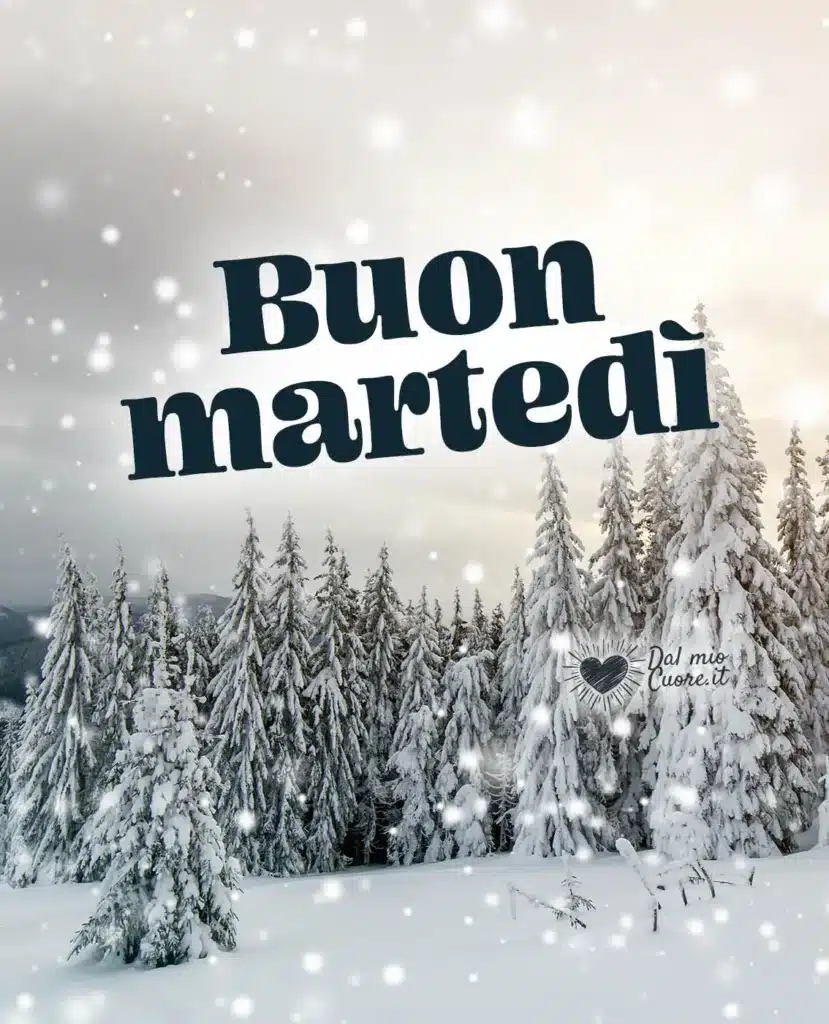 Buongiorno Martedì 17 Dicembre 2024: Una collezione di immagini per dare il buongiorno su WhatsApp e Instagram