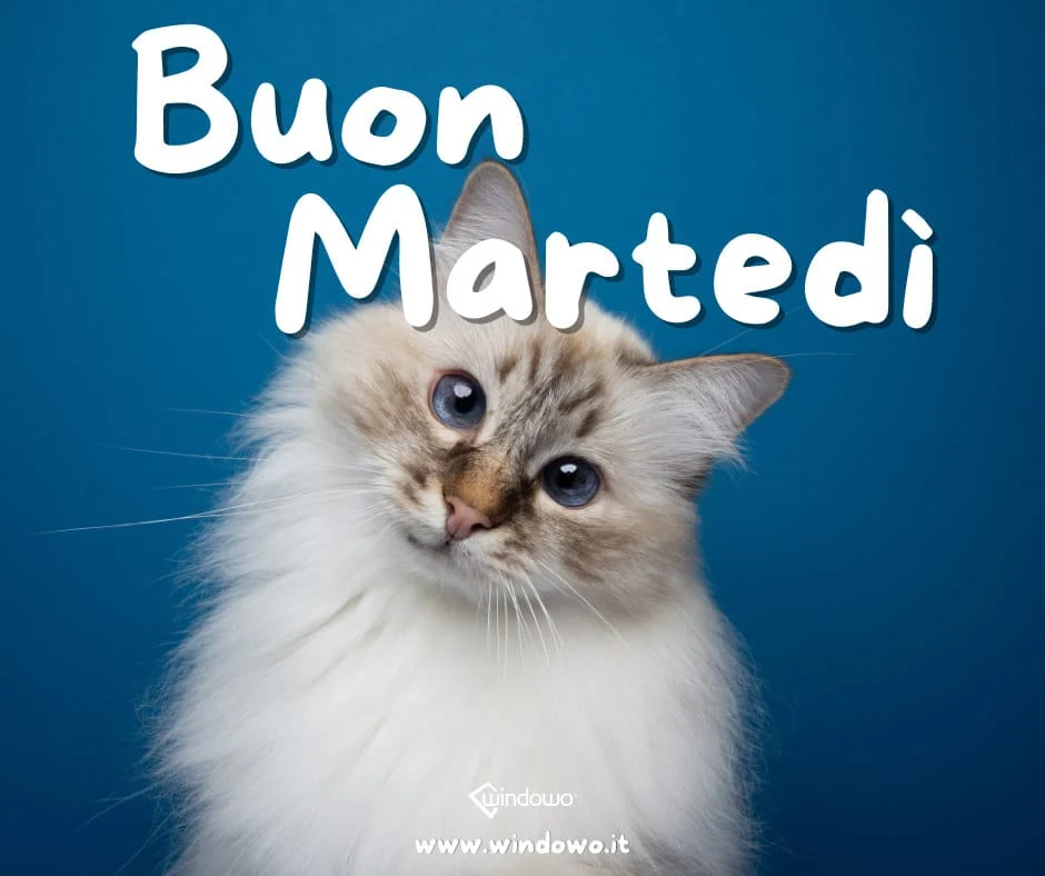 buon martedì