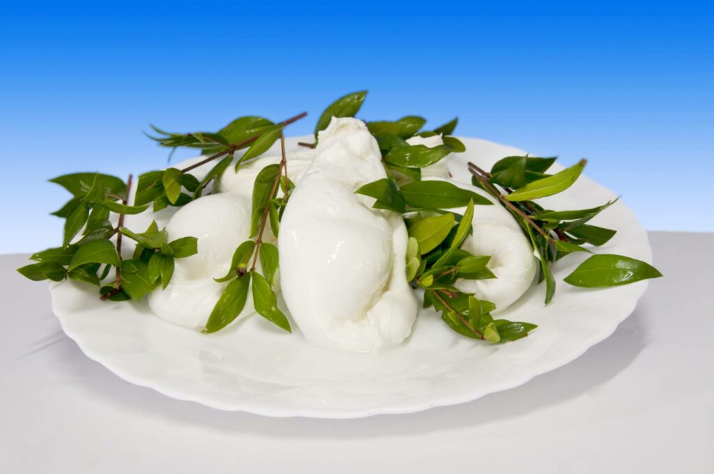 mozzarella Cilento