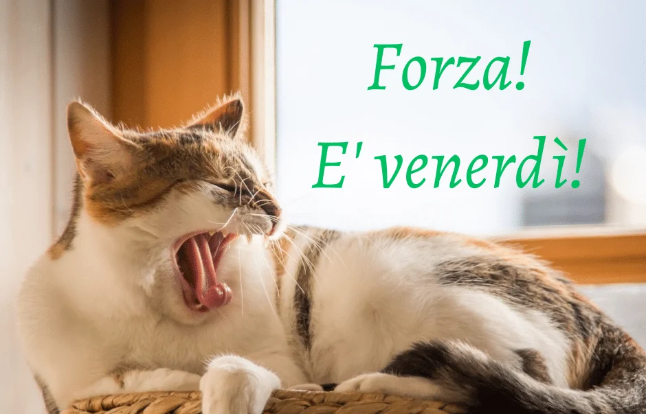Buongiorno