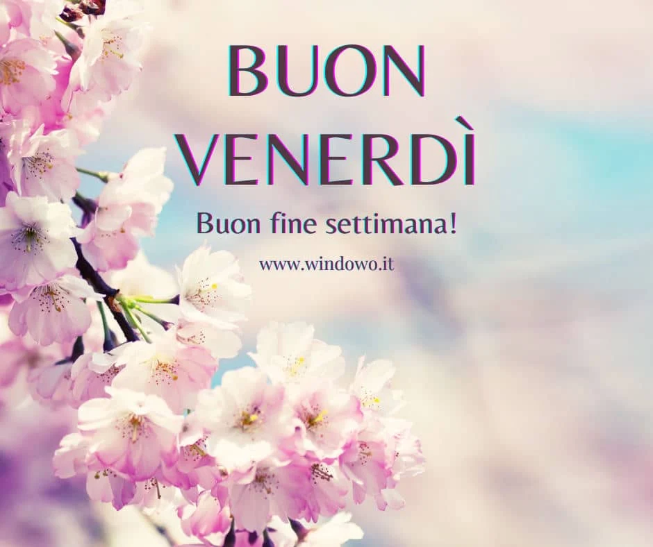 Buongiorno venerdì 20 dicembre 2024: Una collezione di immagini per dare il buongiorno su WhatsApp e Instagram