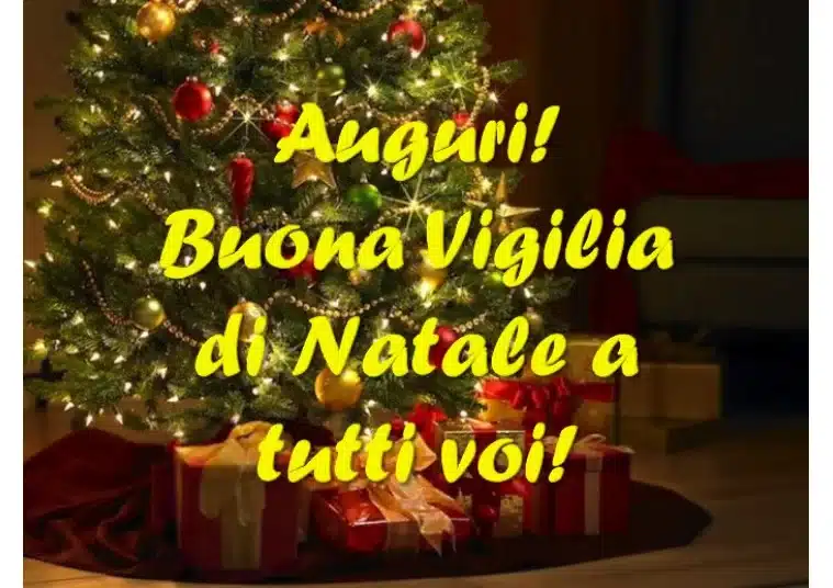 vigilia 1