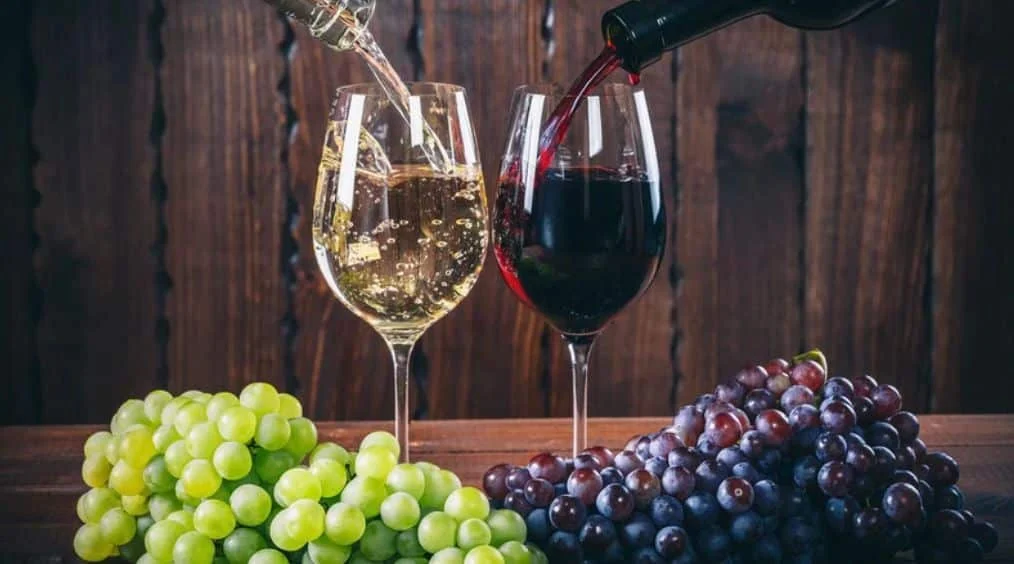 Vini del Cilento: le Cantine da scoprire per un’esperienza enologica unica
