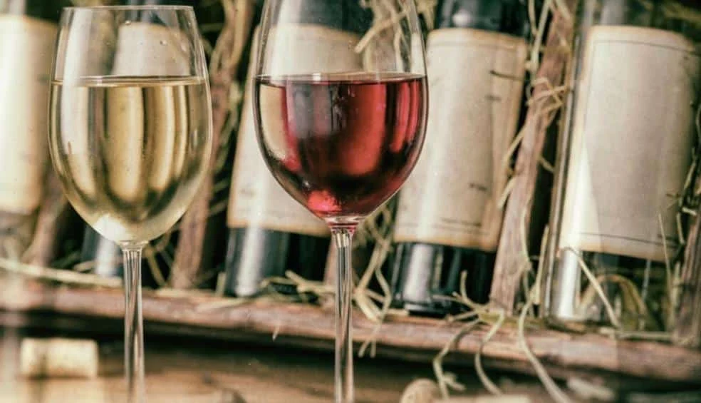vini del Cilento