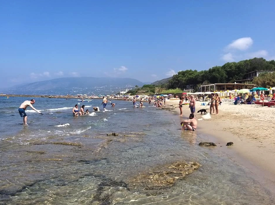 Bau Bau Beach - Palinuro: Il Paradiso dei Cani