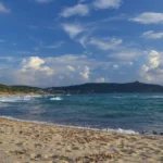 Le 5 Spiagge Dog-Friendly Imperdibili del Cilento