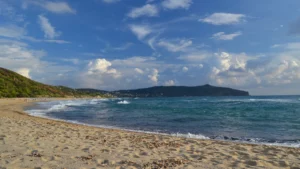 Dove portare il cane al mare? Le 5 spiagge dog-friendly del Cilento